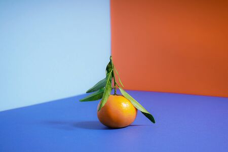 Fresh orange mandarin with green leaves, on a colorful background.の写真素材