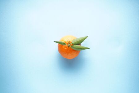 Flat lay fresh orange mandarin with green leaves, on a bluel backgroundの写真素材