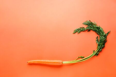 Fresh carrot on an orange background. Flat lay, with space for text.
