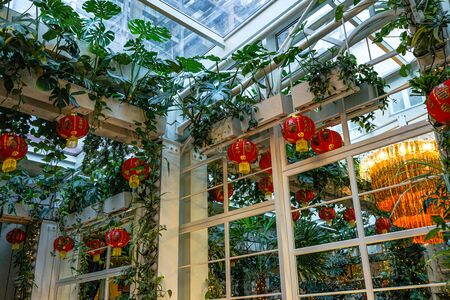 Fresh flowers in the interior. Interior design idea of a vibrant fresh garden.の写真素材