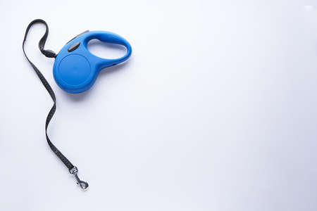 Blue retractable dog leash on a white background, with space for text. Flat lay.の写真素材
