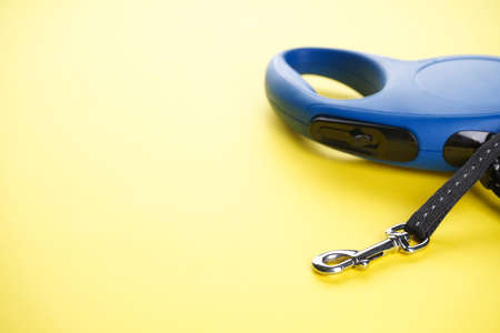 Blue retractable dog leash on a yellow background, with space for text.の写真素材