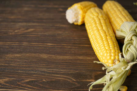 Ripe corn on a wooden background, place for text.
