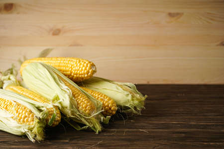 Ripe corn on a wooden background, place for text ..