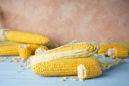 Cobs of ripe raw corn on wooden background, place for text.