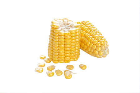 Ripe ears of corn on a white background isolation.の写真素材