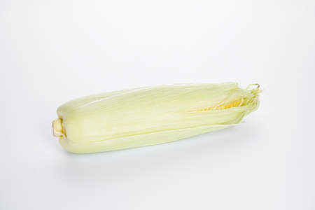 Ripe corn on a white background.の写真素材