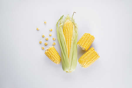 Cobs of ripe corn on a white background, top view.