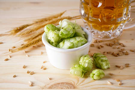 Hops and barley on wooden background. Close-up