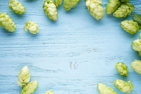 Fresh hops on a wooden background, space for text.の写真素材