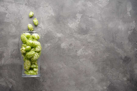 Ripe hops in a beer glass on a gray background, place for text. Flat lay.の写真素材