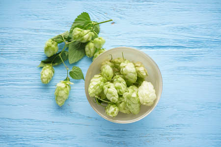Fresh hops in a bowl on a wooden background, top view.の写真素材