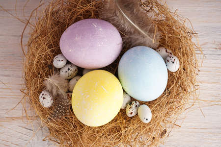 Easter eggs in a nest on a gray background, close-up. Top viewの写真素材
