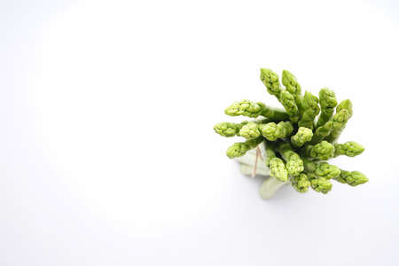 Fresh green asparagus on white background, flat lay with place for textの写真素材