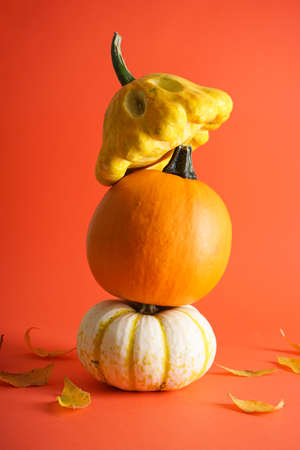 Pumpkins, dried leaves on orange background, vertically. Halloween concept. Autumn composition.