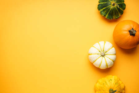 Halloween pumpkins on a yellow background, space for text, flat lay.の写真素材