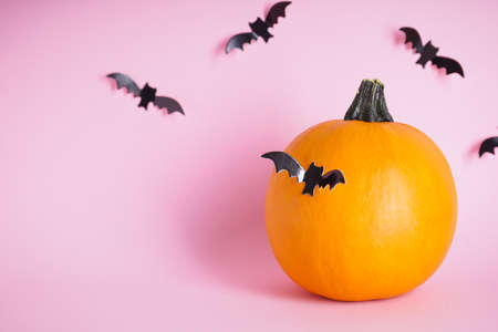 Halloween fresh pumpkin and bats on a pink background. Space for text.の写真素材