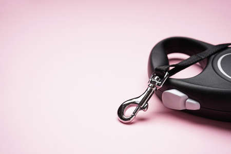 Black retractable dog leash on a pink background, space for text, close-up.の写真素材