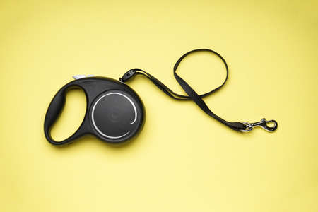 Black retractable dog leash on a yellow background. Flat lay.の写真素材