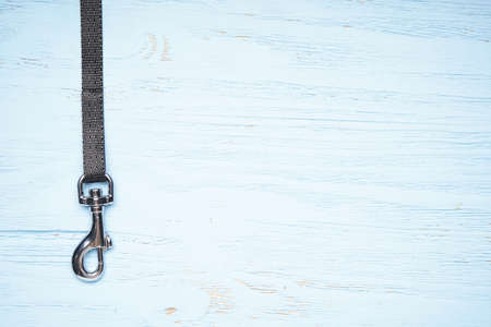 Dog leash with carabiner on a wooden background, space for text, top view.