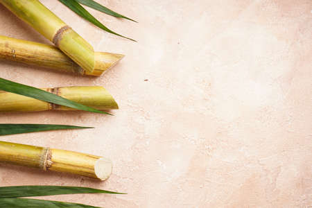 Sugarcane and green leaf on a beige background, space for text. top view.の写真素材