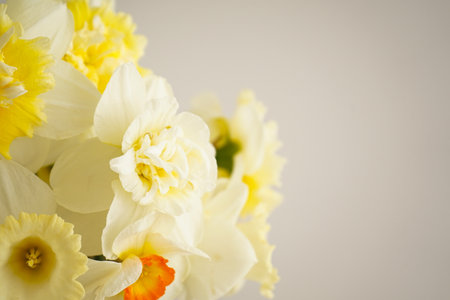 Beautiful bouquet of fresh yellow daffodil flowers in vase against white background, closeup. Space...