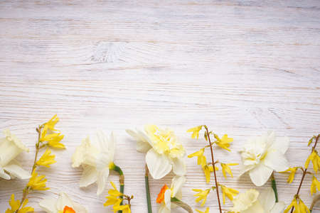 Daffodil flowers on wooden background with space for text, top view.の写真素材