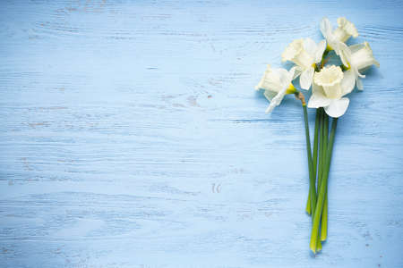 Daffodil flowers on blue wooden background with space for text, top view.の写真素材