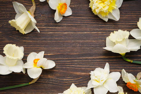 Daffodil flowers on wooden background with space for text, top view.の写真素材