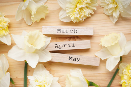 Yellow daffodil flowers and wooden calendar on wooden background, top view.の写真素材
