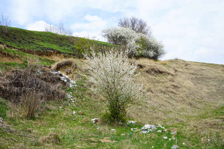 A pile of garbage in a clearing in the countryside against the backdrop of a flowering tree on a spring day. out of focus. Concept of ecology.の写真素材
