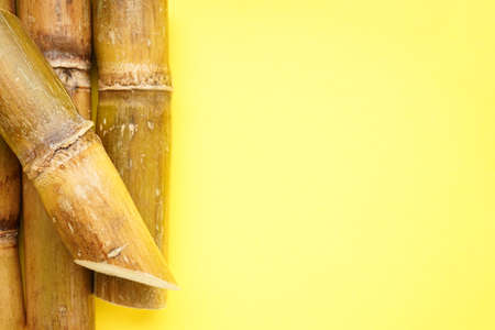 Sugarcane on a yellow background with space for text, close-up. top view.の写真素材
