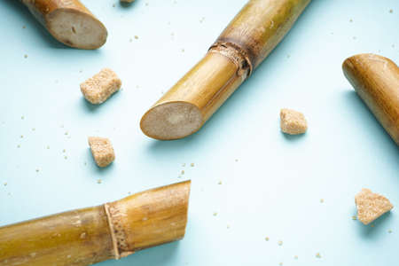 Sugar cane and brown sugar pieces on blue background, close-up.の写真素材