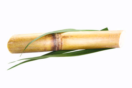 Sugarcane isolated on white background, close-up.の写真素材