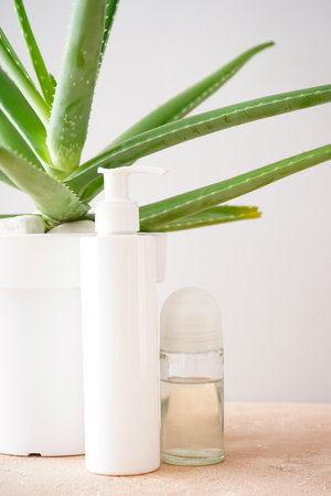Aloe vera and composition of body care and beauty products on a color background, vertically.の写真素材