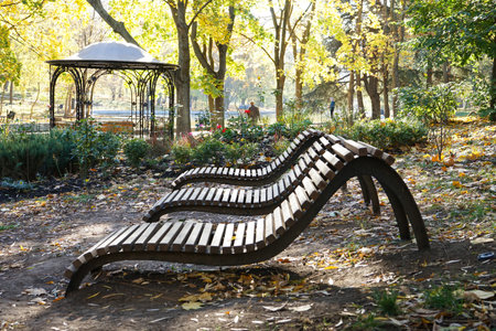 Benches in the autumn park and fallen leaves.