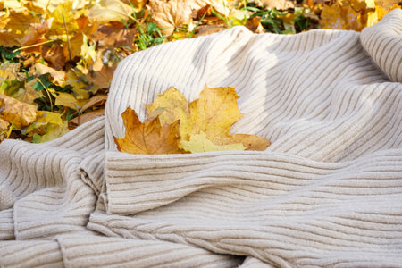 Cozy sweater on autumn leaves in the park. top view.の写真素材