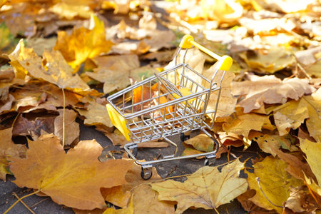 Supermarket cart in autumn leaves. autumn sale.の写真素材