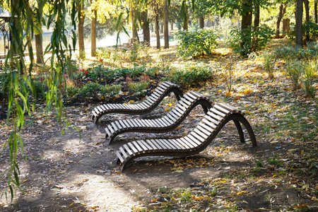 Benches in the autumn park and fallen leaves.の写真素材