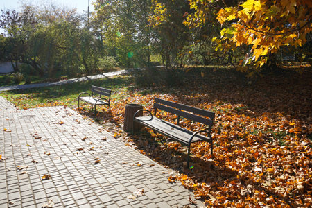 A bench in the park in the fall, fallen leaves, a sunny day.の写真素材