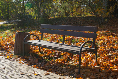 A bench in the park in the fall, fallen leaves, a sunny day.の写真素材