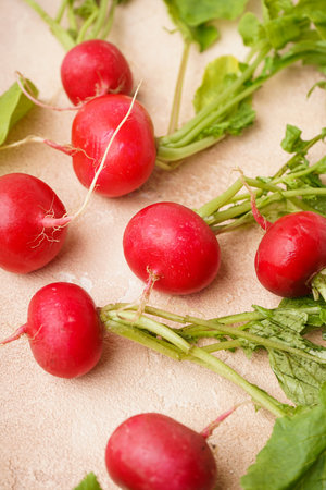 Ripe red radish with green leaves on a beige background, fresh red radish. close-up. vertically.の写真素材
