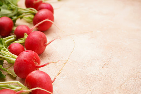 Ripe red radish with green leaves on a beige background, fresh red radish. Space for text, close-up.の写真素材