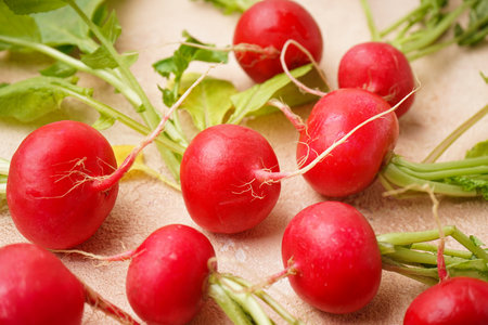 Ripe red radish with green leaves on a beige background, fresh red radish. close-up.の写真素材