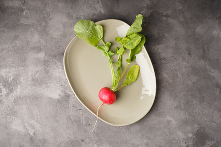 One fresh red radish in a plate on a gray background, top view. flat lay.の写真素材