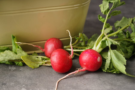 Fresh red radish with leaves and a metal bowl on a gray background. close-up.の写真素材