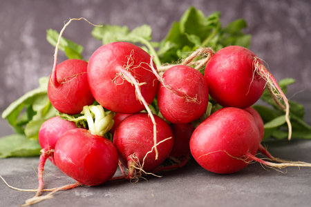 Red radish bunch on a gray background. close-up.の写真素材