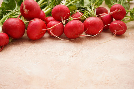 Red radishes on a beige background with space for text. close-up.の写真素材