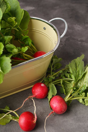 Fresh red radish with leaves and a metal bowl on a gray background, vertically. close-up.の写真素材