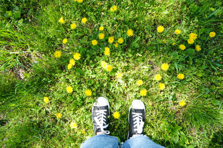 Legs of a young girl in a sneakers with on a green grass, top view.